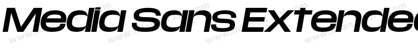 Media Sans Extended Bold字体转换